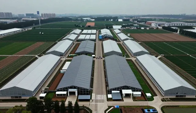 性能优化视角下的系统选型关键考量